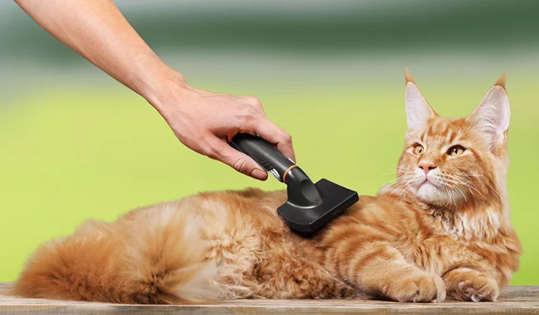 Искусство вычесывания кошек: забота о шерсти и здоровье